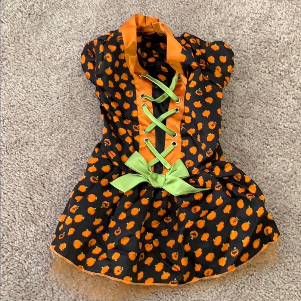 Small dog - Halloween dress!